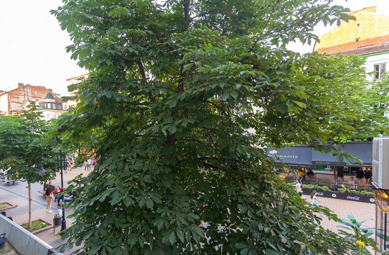 Central Vitosha Apartment Sofia Luaran gambar